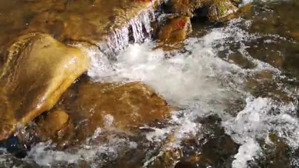 Disparo Cámara Lenta Río Montaña Primavera — Vídeo de stock