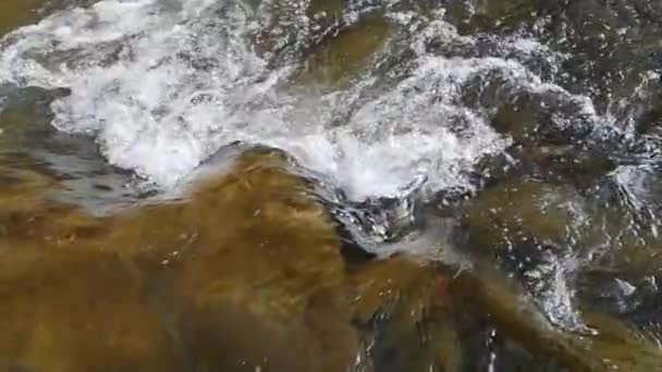 Slow Motie Schieten Van Een Berg Rivier Voorjaar — Stockvideo