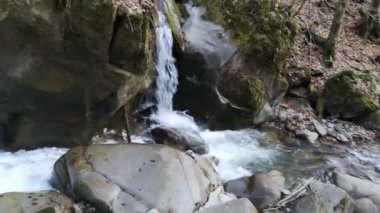 Dağdaki bir bahar ormanında şelale