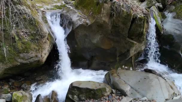 Cachoeira Uma Floresta Primavera Montanha — Vídeo de Stock