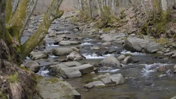 Paesaggio Fiume Montagna Primavera All Ora Del Tramonto — Video Stock