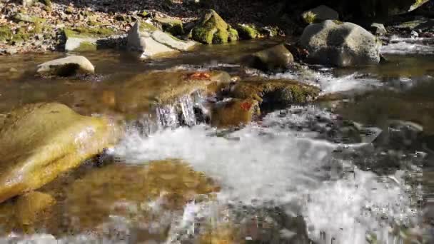 Lanskap Sungai Pegunungan Musim Semi Saat Matahari Terbenam — Stok Video