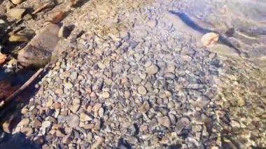 Baharda gün batımında bir dağ nehrinin manzarası