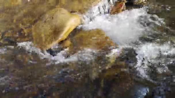 Paisagem Rio Montanha Primavera Hora Pôr Sol — Vídeo de Stock