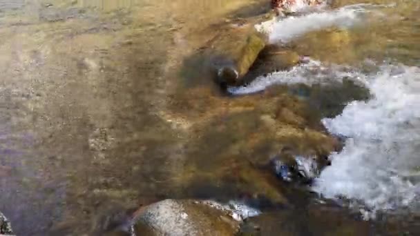 Paisaje Río Montaña Primavera Atardecer — Vídeo de stock