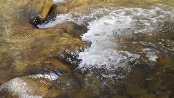 Τοπίο Ενός Ποταμού Βουνού Την Άνοιξη Την Ώρα Του Ηλιοβασιλέματος — Αρχείο Βίντεο