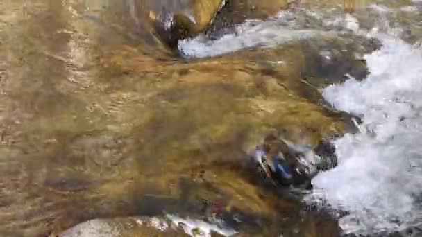 Paisaje Río Montaña Primavera Atardecer — Vídeo de stock