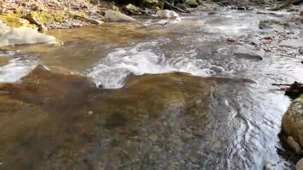 Paesaggio Fiume Montagna Primavera All Ora Del Tramonto — Video Stock