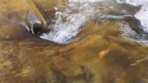 Paysage Une Rivière Montagne Printemps Heure Coucher Soleil — Video