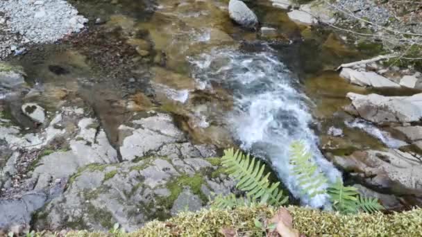 Paesaggio Fiume Montagna Primavera All Ora Del Tramonto — Video Stock