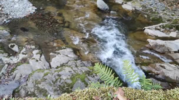 Paisaje Río Montaña Primavera Atardecer — Vídeos de Stock