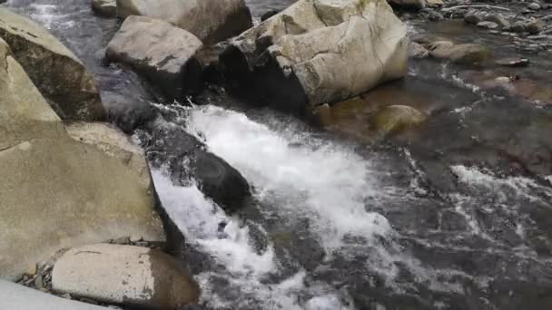 Baharda Gün Batımında Bir Dağ Nehrinin Manzarası — Stok video