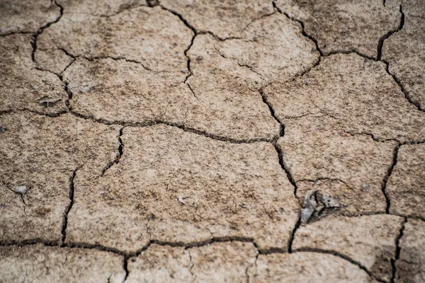 Landscape Dry Cracked Textured Ground — Foto Stock