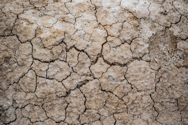Landscape Dry Cracked Textured Ground — Fotografia de Stock