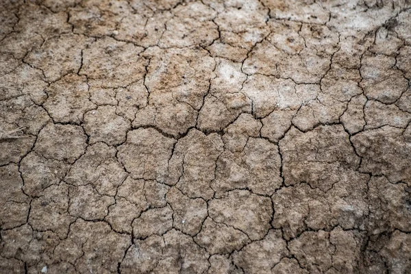 Landscape Dry Cracked Textured Ground — Fotografia de Stock