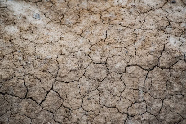 Landscape Dry Cracked Textured Ground — Fotografia de Stock