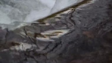 Bahar ormanındaki dağ nehri.