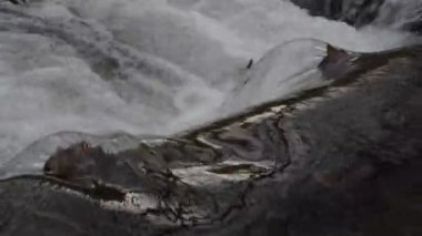 Bahar ormanındaki dağ nehri.