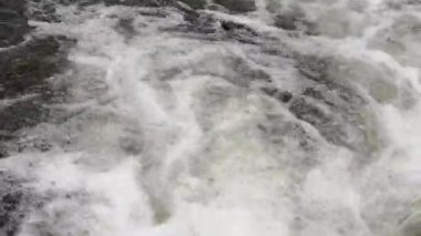 Bahar ormanındaki dağ nehri.