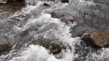 Bahar ormanındaki dağ nehri.