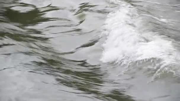 Rio Montanha Pleno Fluxo Nas Montanhas Cárpatas — Vídeo de Stock