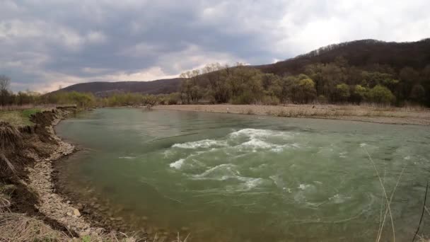 Fiume Montagna Che Scorre Lungo Carpazi — Video Stock