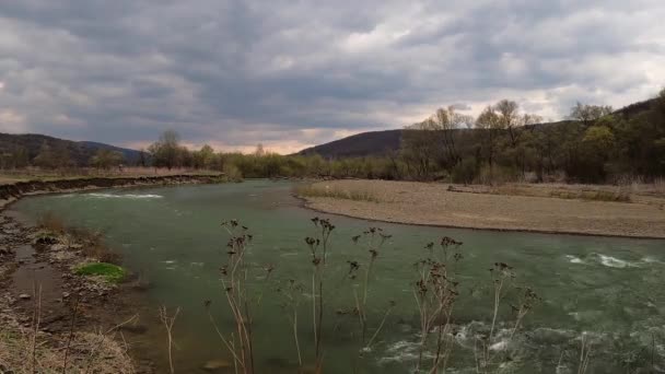 Fiume Montagna Che Scorre Lungo Carpazi — Video Stock