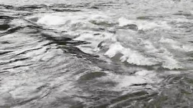 Karpat Dağları 'nda akan nehir.