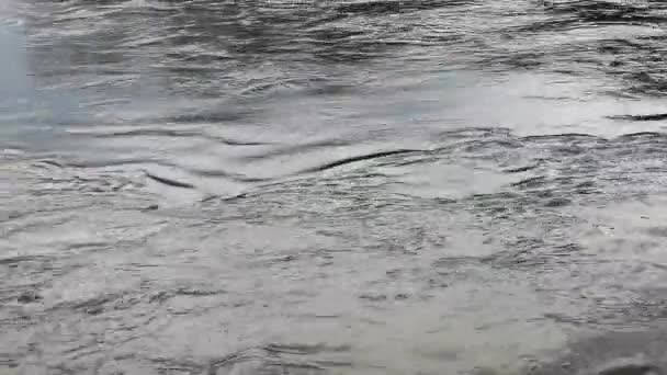 喀尔巴阡山脉中的满流山河 — 图库视频影像
