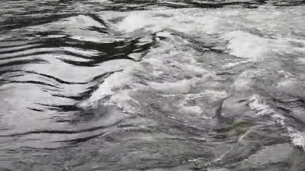 フルカルパチア山脈の流れる山の川 — ストック動画