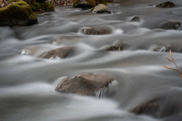 Horská Řeka Večerním Jarním Lese — Stock fotografie