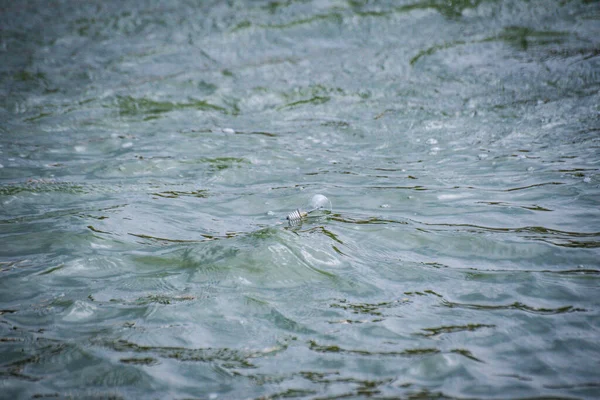 Eine Glühbirne Schwimmt Auf Einem Gebirgsfluss — Stockfoto