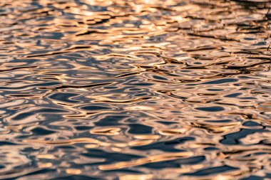 Güneşli bir dağ nehrinin desenli dalgaları