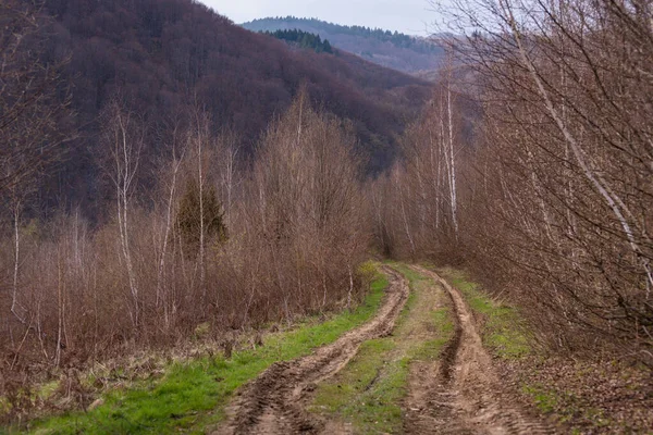 Spring Landscape Carpathian Mountains Rain — Stock Photo, Image