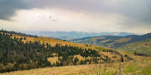 Spring landscape in the Carpathian mountains in the rain