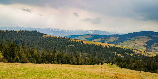 Spring landscape in the Carpathian mountains in the rain