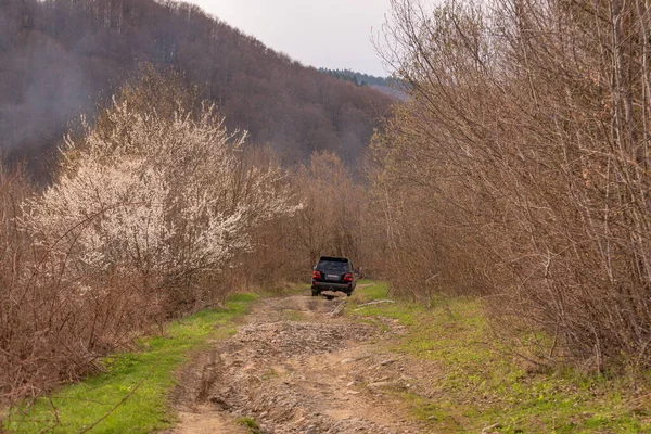 Suv Travels Spring Carpathian Mountains — Stock Photo, Image