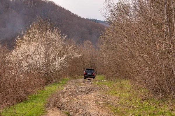 Suv Viaja Primavera Nas Montanhas Dos Cárpatos — Fotografia de Stock