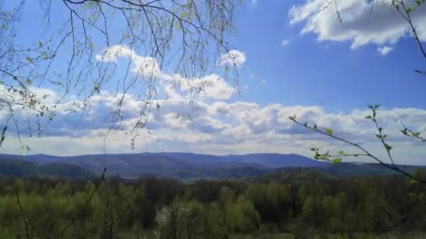 Time Lapse Spring Landscape Village Valley Carpathian Mountains — Stock Video