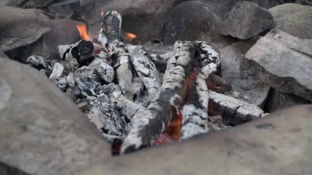 Brennholzfeuer Ufer Eines Gebirgsquellflusses — Stockvideo