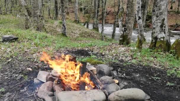 Feu Bois Sur Bord Une Rivière Source Montagne — Video