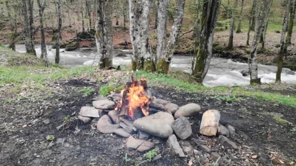 Fuego Leña Orilla Río Manantial Montaña — Vídeos de Stock