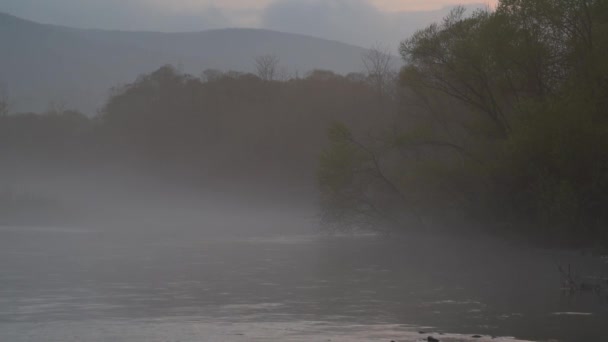 Весняний Туманний Вечір Гірській Річці — стокове відео