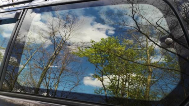 Paisaje Primaveral Día Soleado Bosque Montaña — Vídeo de stock