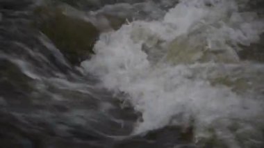 Dağlık bir bahar ormanında akan nehir.