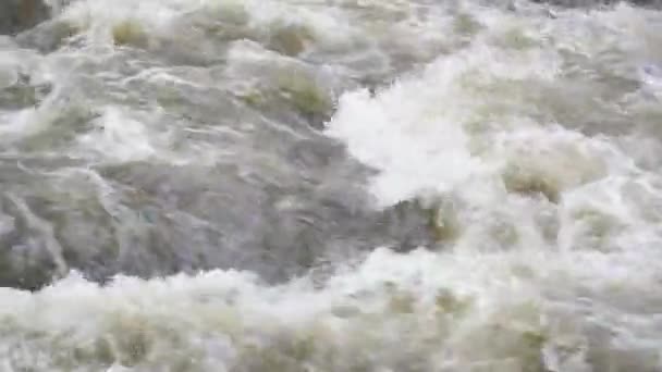 Rio Pleno Fluxo Uma Floresta Primavera Montanha — Vídeo de Stock