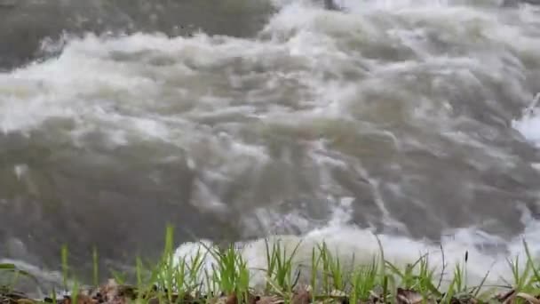 Rio Pleno Fluxo Uma Floresta Primavera Montanha — Vídeo de Stock