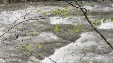 Dağlık bir bahar ormanında akan nehir.