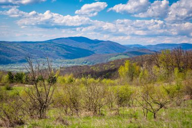 Karpat dağlarında güneşli bir günde bahar manzarası