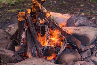 Dağ nehrinin kıyısında yakacak odun yangını